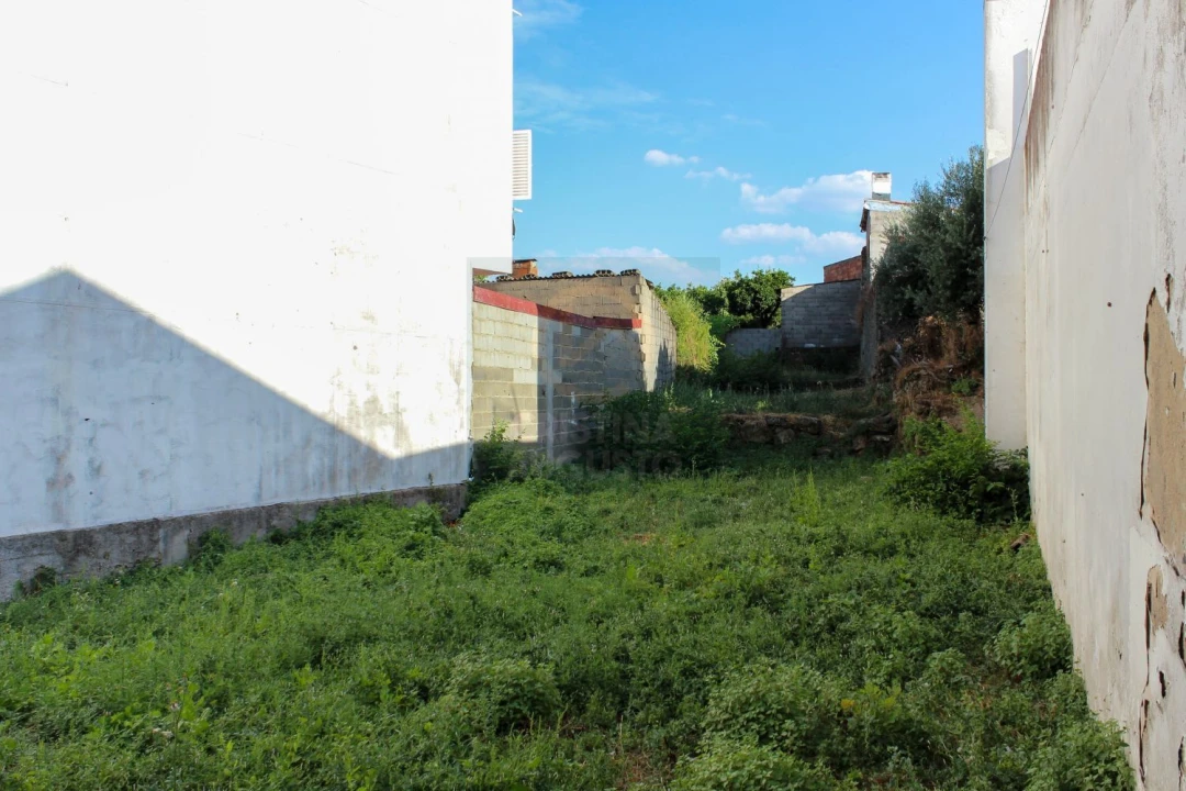 Terreno para Venda em Alcains Foto 1