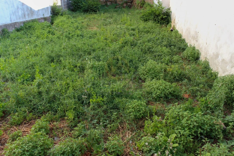 Terreno para Venda em Alcains Foto 3