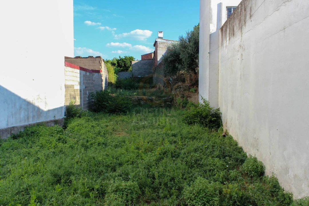 Terreno para Venda em Alcains Foto 2