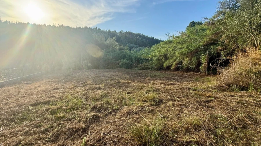 Moradia T3 para Venda em Lavegadas Foto 11