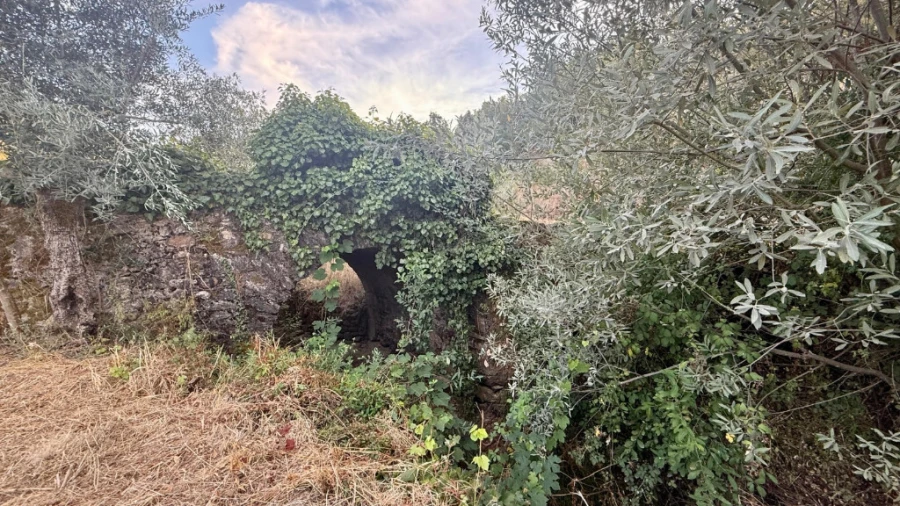 Moradia T3 para Venda em Lavegadas Foto 10