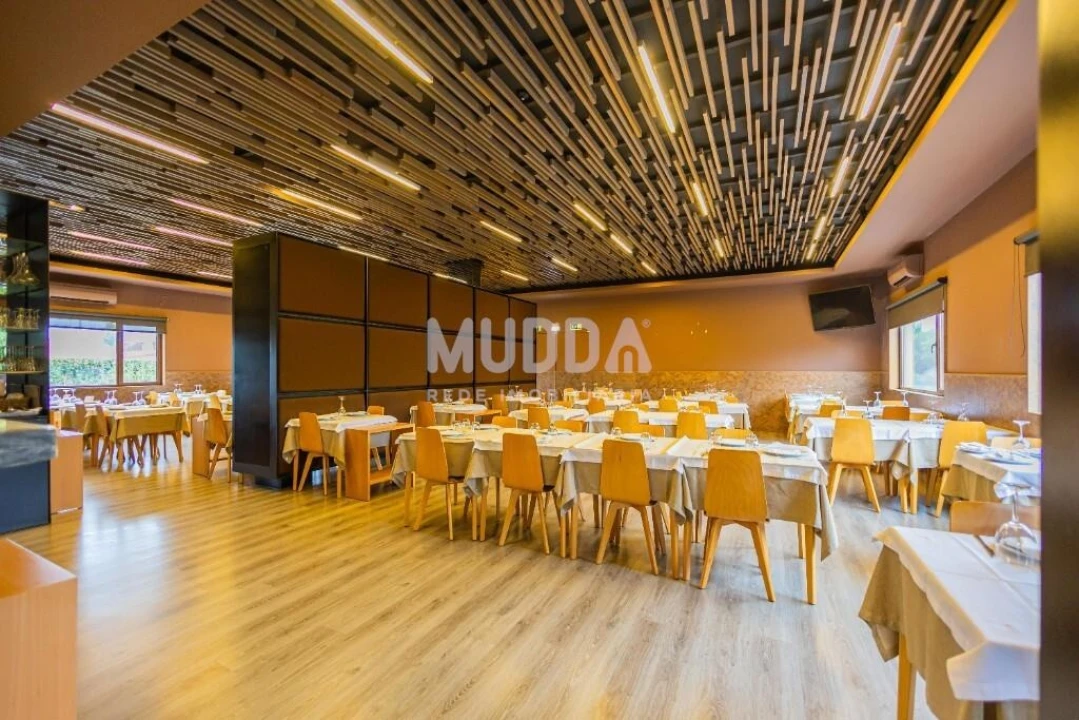 Negócio para Venda em Préstimo e Macieira de Alcoba Foto 4