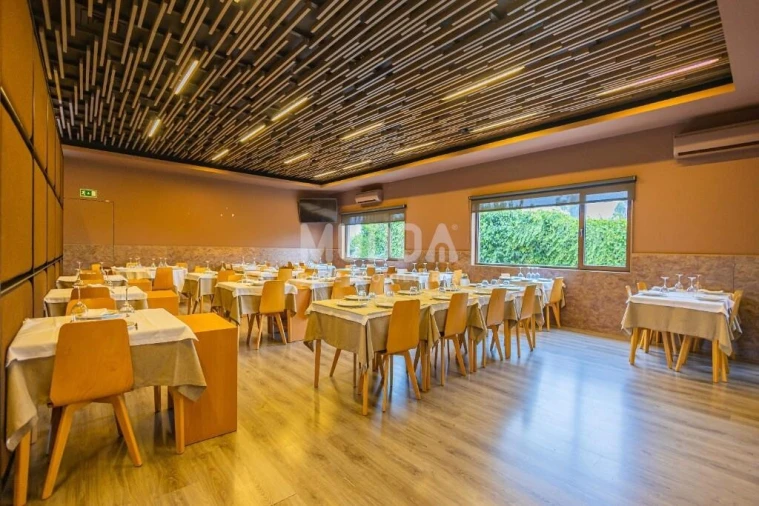 Negócio para Venda em Préstimo e Macieira de Alcoba Foto 5