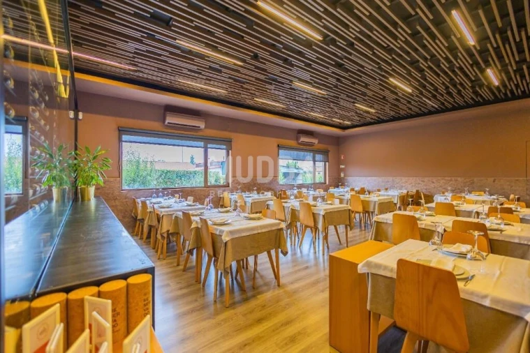 Negócio para Venda em Préstimo e Macieira de Alcoba Foto 6