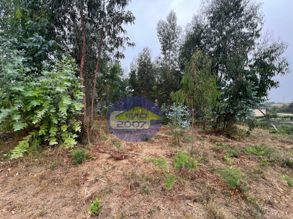 Moradia T5 para Venda em Arrifana Foto 38