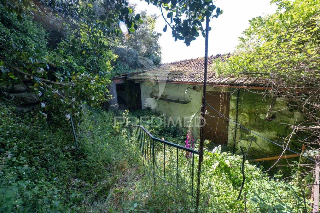 Moradia T2 para Venda em Bouro (Santa Maria) Foto 6