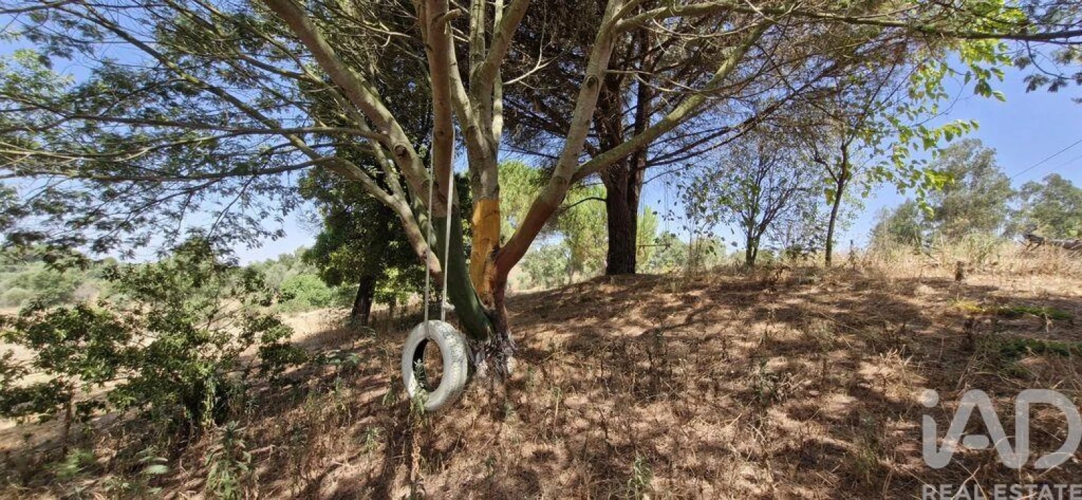 Moradia T3 para Venda em São João da Ribeira e Ribeira de São João Foto 26