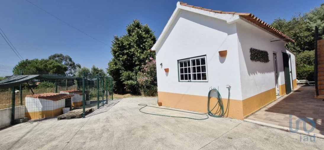 Moradia T3 para Venda em São João da Ribeira e Ribeira de São João Foto 5