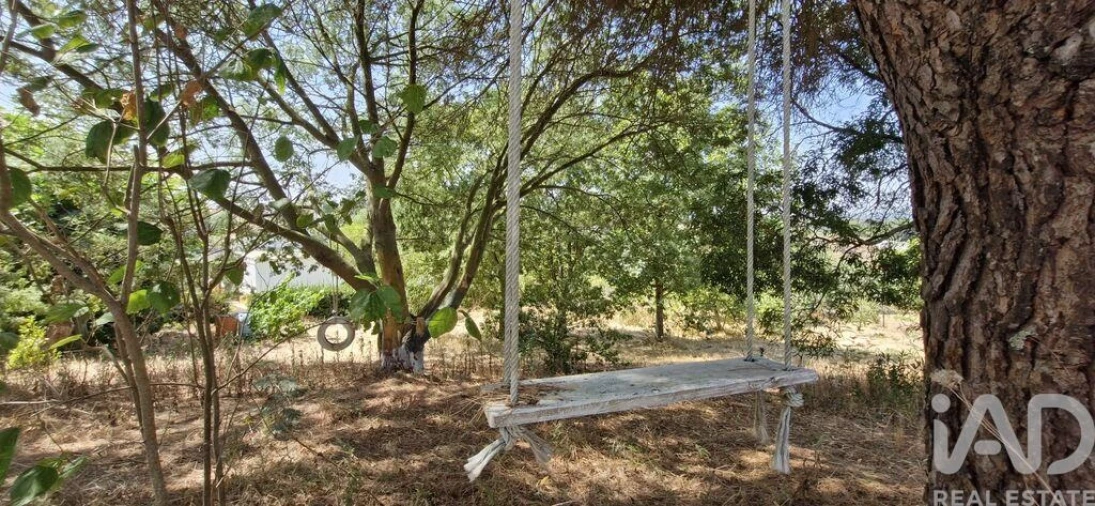 Moradia T3 para Venda em São João da Ribeira e Ribeira de São João Foto 27