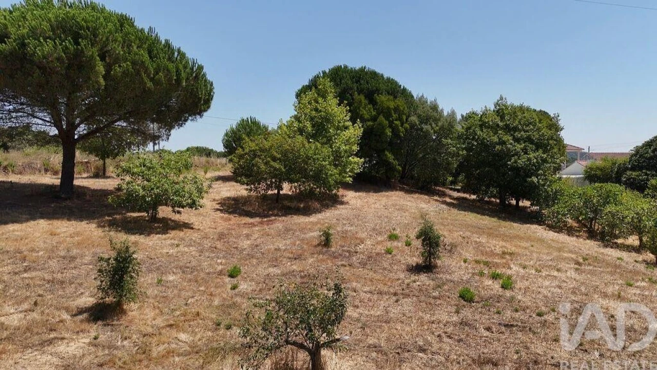 Moradia T3 para Venda em São João da Ribeira e Ribeira de São João Foto 28