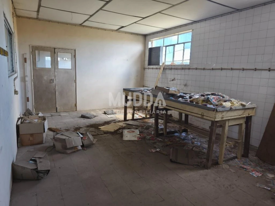 Armazém para Venda em Benedita Foto 7