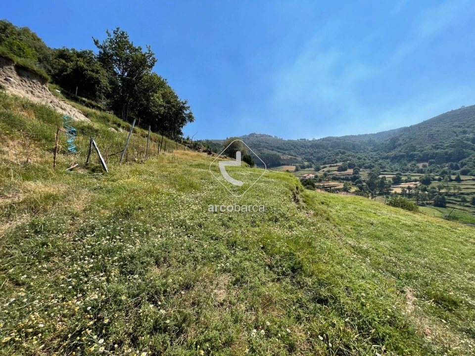 Moradia T3 para Venda em Labrujó, Rendufe e Vilar do Monte Foto 24
