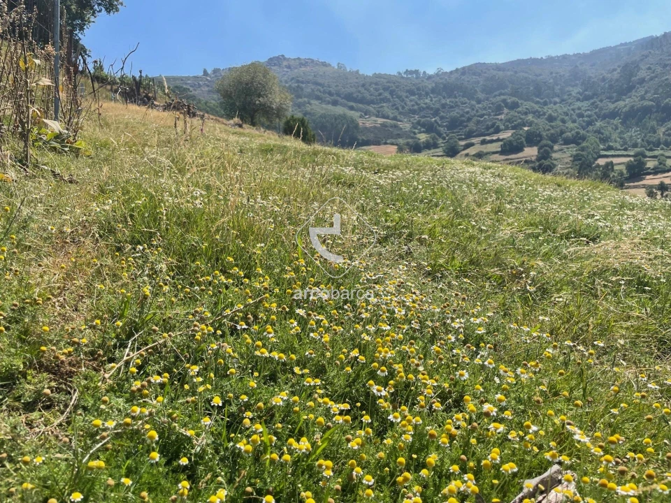 Moradia T3 para Venda em Labrujó, Rendufe e Vilar do Monte Foto 5