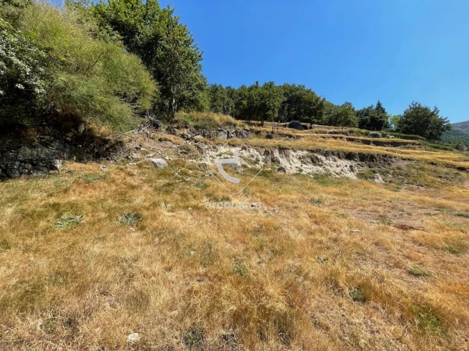 Moradia T3 para Venda em Labrujó, Rendufe e Vilar do Monte Foto 31