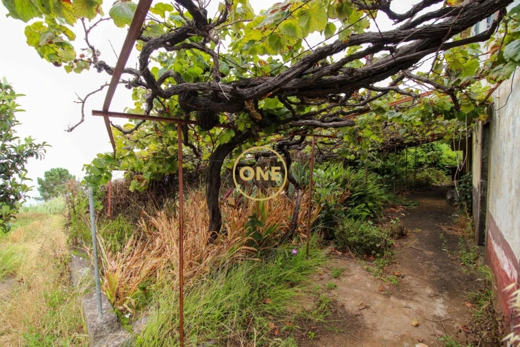 Moradia T4 para Venda em Prazeres Foto 4