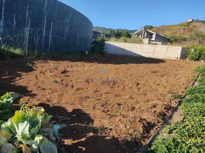 Terreno para Venda em Arco da Calheta Foto 3