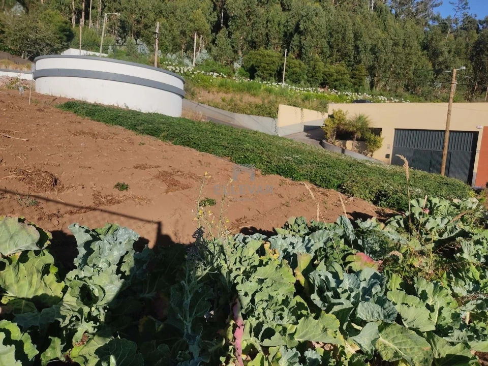 Terreno para Venda em Arco da Calheta Foto 2