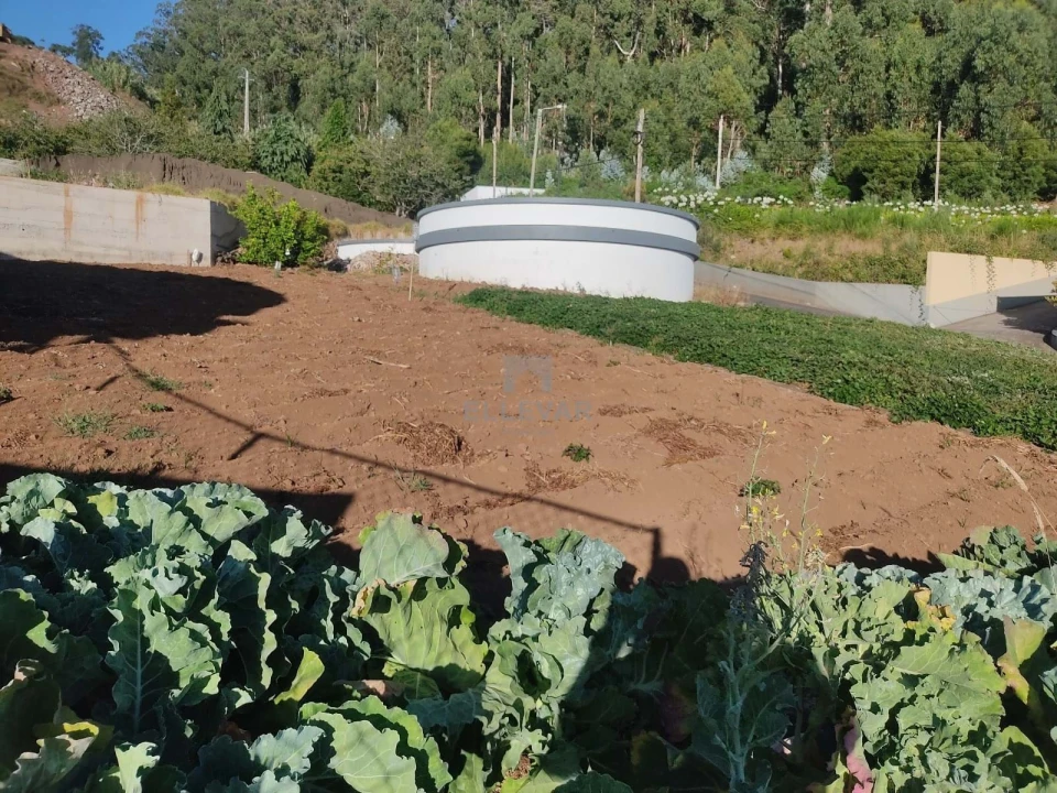 Terreno para Venda em Arco da Calheta Foto 4
