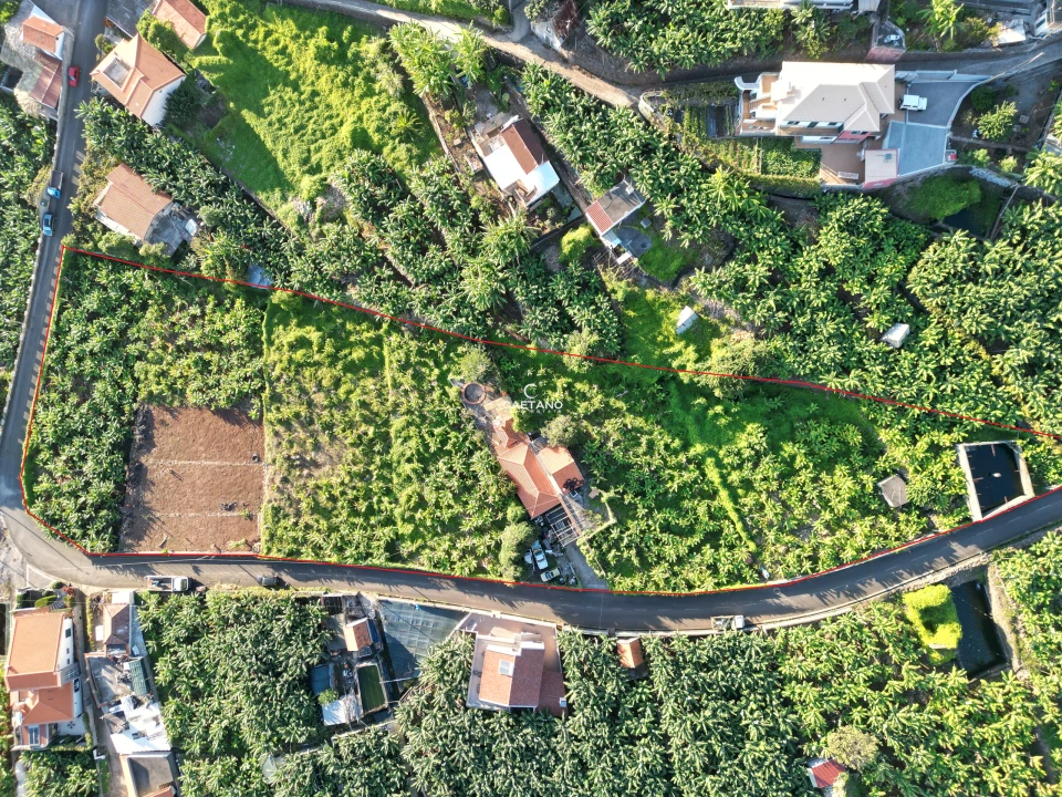 Terreno para Venda em Arco da Calheta Foto 1