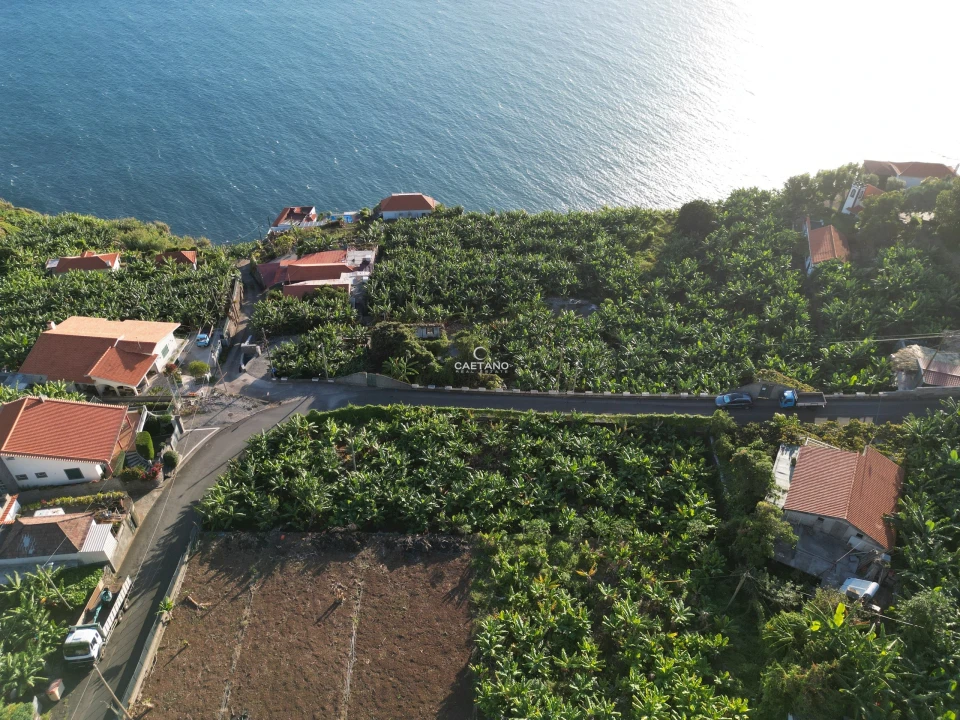 Terreno para Venda em Arco da Calheta Foto 14