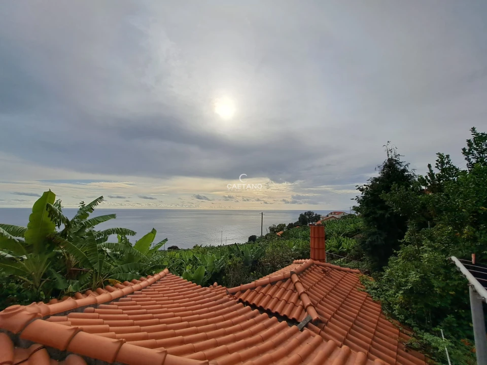 Terreno para Venda em Arco da Calheta Foto 5