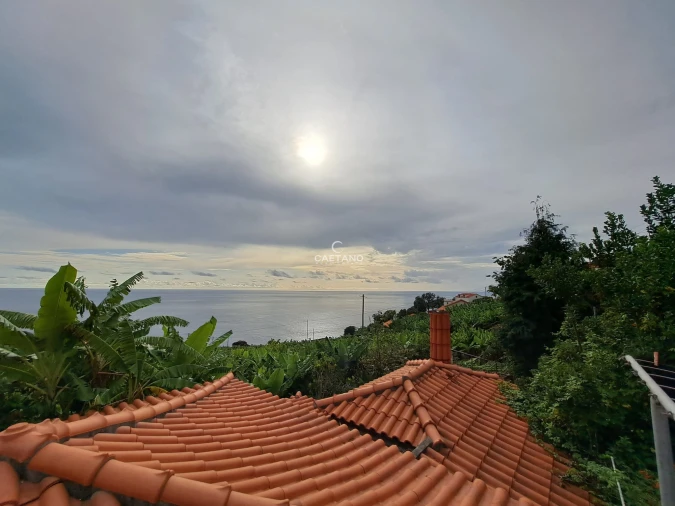 Terreno para Venda em Arco da Calheta Foto 5