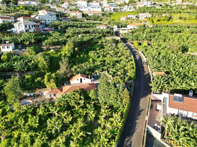 Terreno para Venda em Arco da Calheta Foto 12