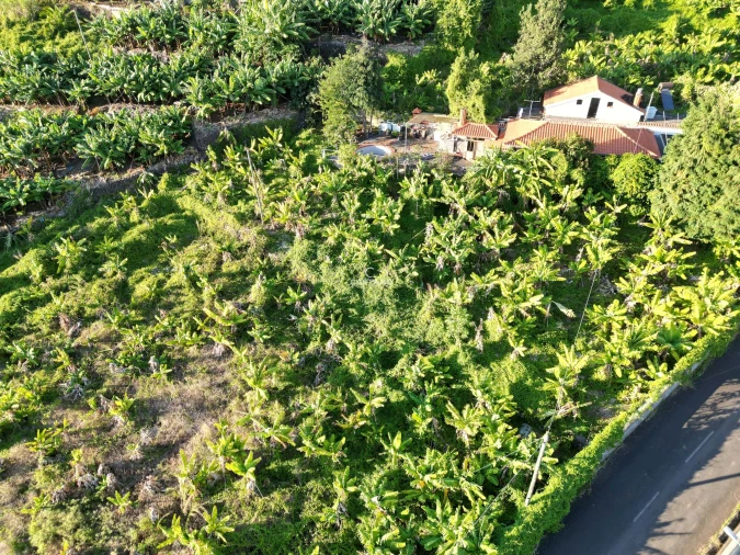 Terreno para Venda em Arco da Calheta Foto 11