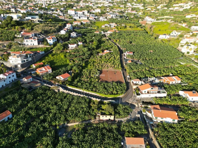 Terreno para Venda em Arco da Calheta Foto 22
