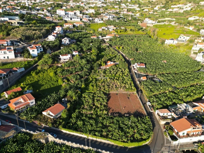 Terreno para Venda em Arco da Calheta Foto 2