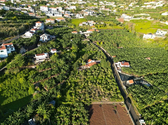 Terreno para Venda em Arco da Calheta Foto 24