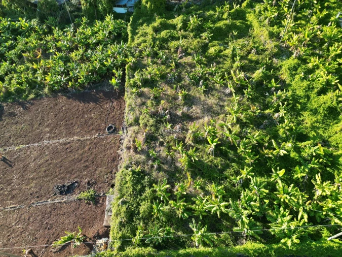 Terreno para Venda em Arco da Calheta Foto 10