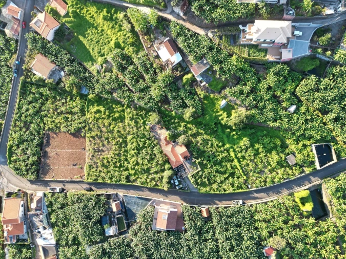 Terreno para Venda em Arco da Calheta Foto 15
