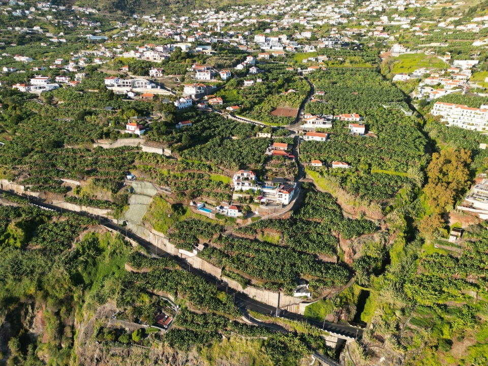 Terreno para Venda em Arco da Calheta Foto 20