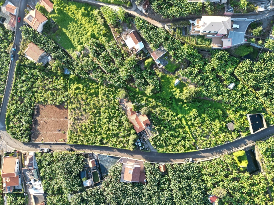 Terreno para Venda em Arco da Calheta Foto 15