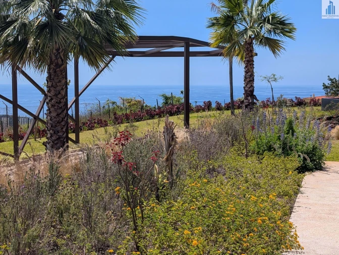 Apartamento T2 para Venda em São Martinho Foto 29