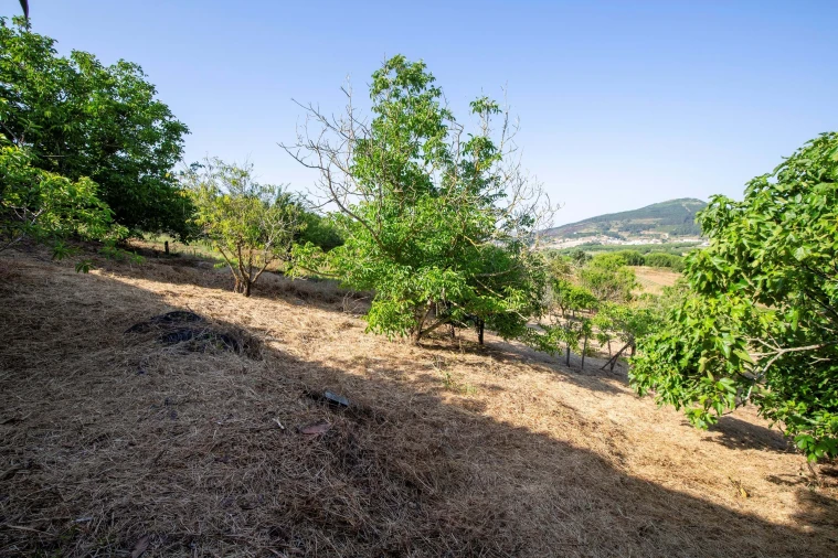Moradia T2 para Venda em Azueira e Sobral da Abelheira Foto 41