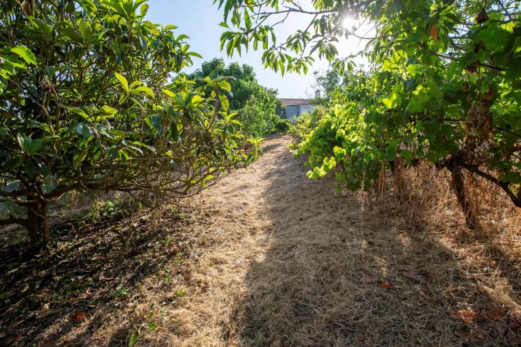Moradia T2 para Venda em Azueira e Sobral da Abelheira Foto 43