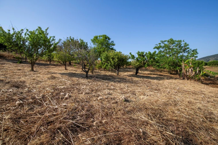 Moradia T2 para Venda em Azueira e Sobral da Abelheira Foto 34