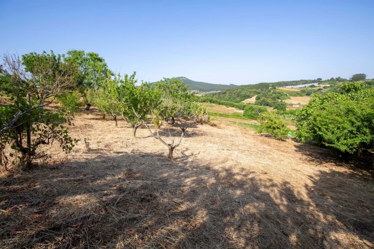Moradia T2 para Venda em Azueira e Sobral da Abelheira Foto 44