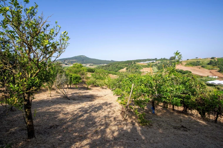 Moradia T2 para Venda em Azueira e Sobral da Abelheira Foto 42