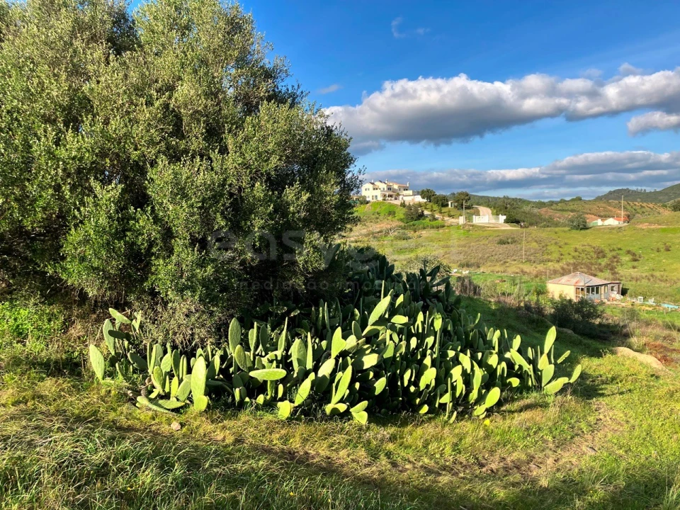 Terreno Misto para Venda em São Bartolomeu de Messines Foto 9