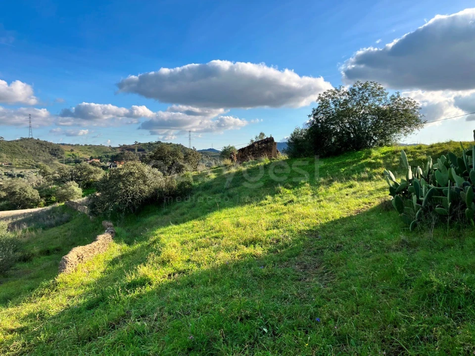 Terreno Misto para Venda em São Bartolomeu de Messines Foto 10