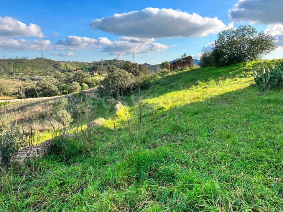 Terreno Misto para Venda em São Bartolomeu de Messines Foto 12