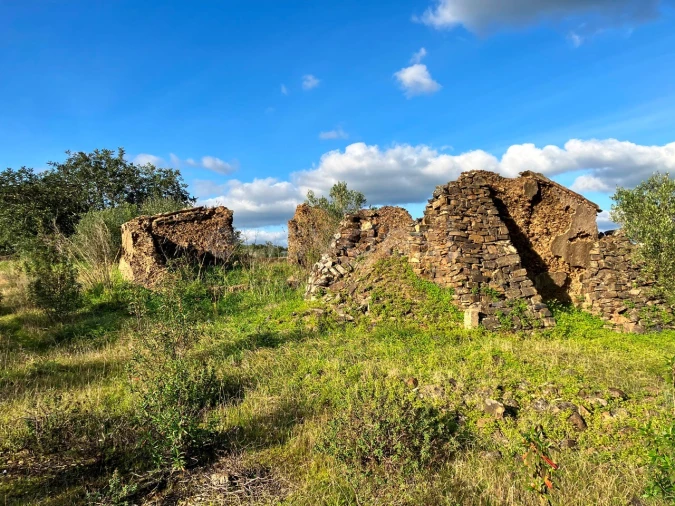 Terreno Misto para Venda em São Bartolomeu de Messines Foto 3