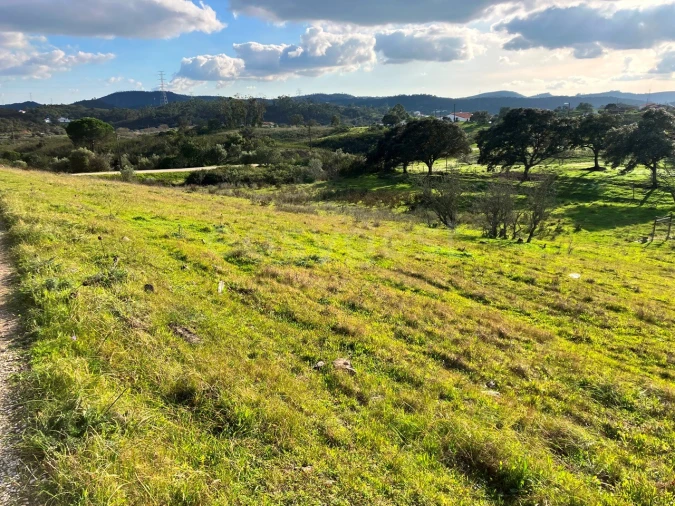 Terreno Misto para Venda em São Bartolomeu de Messines Foto 8