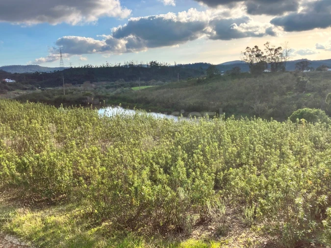 Terreno Misto para Venda em São Bartolomeu de Messines Foto 16