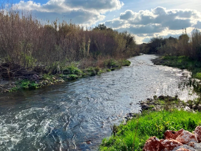 Terreno Misto para Venda em São Bartolomeu de Messines Foto 17