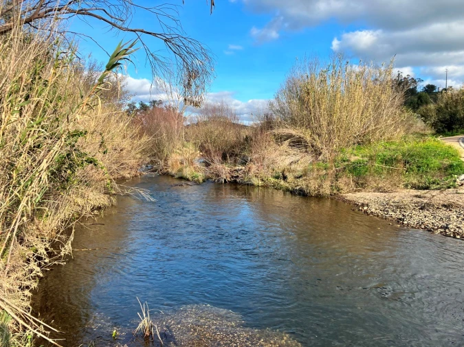 Terreno Misto para Venda em São Bartolomeu de Messines Foto 18