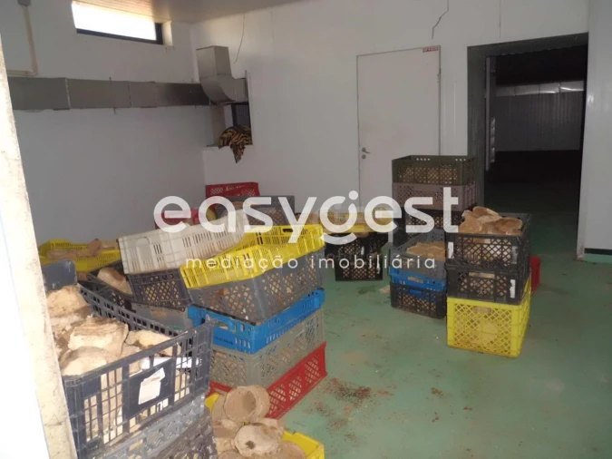Armazém para Venda em Santa Clara de Louredo Foto 22